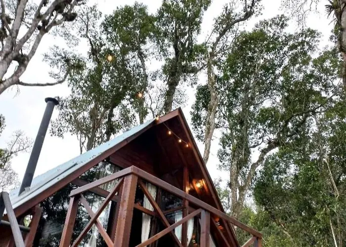 Recanto Da Neblina - Cheiro De Mato